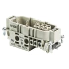 WIELAND ELECTRIC - INSERTO MASCHIO POW STS 4/6 DA D AG