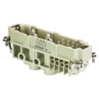 WIELAND ELECTRIC - MALE INSERT POW STS 4/8 NL BB AG