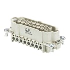 WIELAND ELECTRIC - INSERTO FEMMINA BAS BUS 32 2,5 69