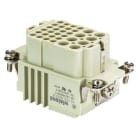 WIELAND ELECTRIC - FEMALE INSERT POW BUC 8/24 AE