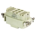 WIELAND ELECTRIC - FEMALE INSERT POW BUC 6/36 DE