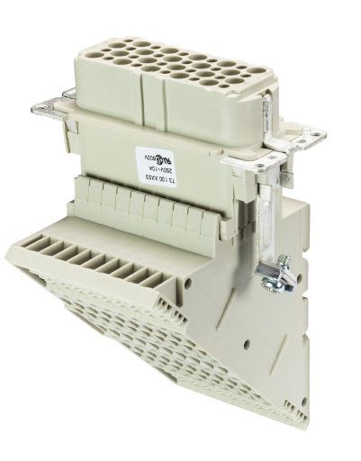 WIELAND ELECTRIC - INDICATORHD  BAS WL 40 2,5 25