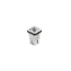 WIELAND ELECTRIC - INSERTO MASCHIO MIN STC KG 7 25