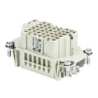 WIELAND ELECTRIC - INSERTO FEMMINA DD BUC 42 1,5 25