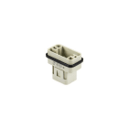 WIELAND ELECTRIC - INSERTO MASCHIO Q STC 8 50