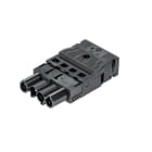 WIELAND ELECTRIC - MALE P&STRAIN-RELGST18I4F S2 ZR1 MSW