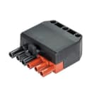 WIELAND ELECTRIC - MALE P & STRAIN-RELST18/6S ZEVNSWBR M