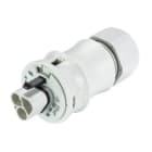WIELAND ELECTRIC - MALE P&STRAIN-RELRST20I3 S S1 ZRW V GL