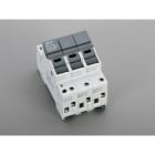 WOEHNER ELECTROTECHNICAL SYSTEMS - AMBUS X FUS. 10X38, 3P + N INTEGR. 31274000A