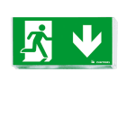 ZG LIGHTING - ECOSIGN 160 SP1-E002-D