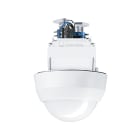 ZG LIGHTING - ED-PST TEC-GP WH