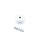 ZG LIGHTING - SUSP CEILING-MOUNT ROSE FEED WH