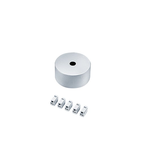 ZG LIGHTING - SUSP CEILING-MOUNT ROSE FEED SR