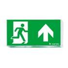 ZG LIGHTING - ECOSIGN 160 SP2-E002-UP