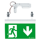ZG LIGHTING - PURESIGN/COMSIGN 150 P MRCR-WF15 E8D SR