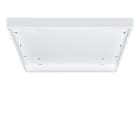 ZG LIGHTING - MIRL A M600Q HOUSING