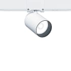 ZG LIGHTING - SUP2 CLAMP PROJ L WH