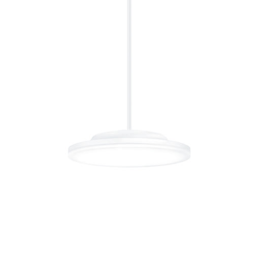 ZG LIGHTING - CAELA RMS LED1600-930 OP WH WH APWH