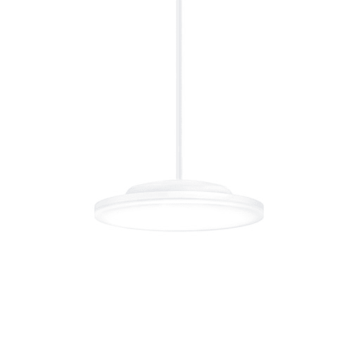 ZG LIGHTING - CAELA RMS LED1500-940 OP WH WH APWH