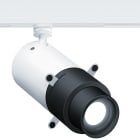 ZG LIGHTING - SUP2 L PROJ LED1000-930 FRM DIM TLVH WH