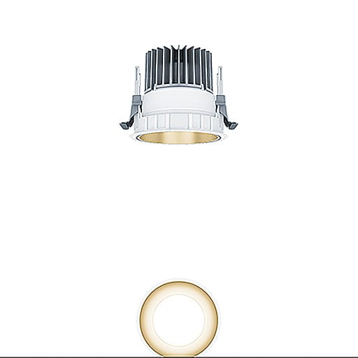 ZG LIGHTING - <P-INF R100L 1000-930 LDO GD TL