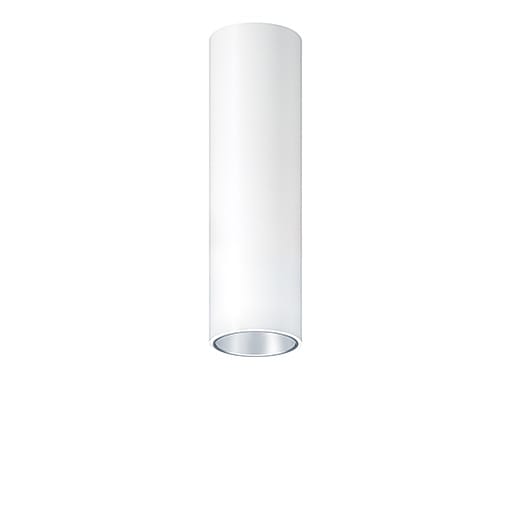 ZG LIGHTING - P-INF SC R70 800-927 LDO FL-SM WH
