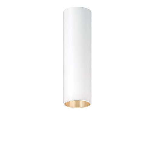 ZG LIGHTING - P-INF SC R70 900-940 LDO FL-GD WH