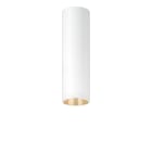 ZG LIGHTING - P-INF SC R70 900-940 LDO FL-GD WH