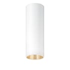 ZG LIGHTING - P-INF SC R100 1600-927 LDO GD WH