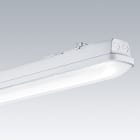 ZG LIGHTING - AQFPRO L LED8000-840 PC WB HF
