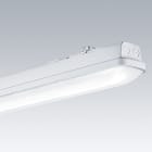ZG LIGHTING - AQFPRO L LED8000-840 PC WB HF