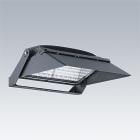 ZG LIGHTING - CHAMPION 264L-740 V1 VSP ANT