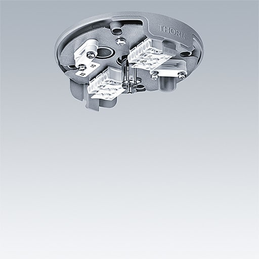 ZG LIGHTING - THORN CEILING ROSE GY WH