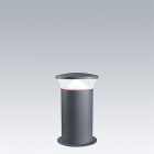 ZG LIGHTING - TR B W 10L25 740 RGB ASY CL2 MPL