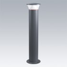 ZG LIGHTING - TR B S 10L25 SLA 730 RGB ASY CL2 MPL