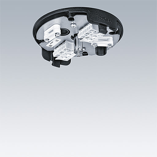 ZG LIGHTING - THORN CEILING ROSE BK WH
