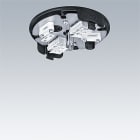 ZG LIGHTING - THORN CEILING ROSE BK WH