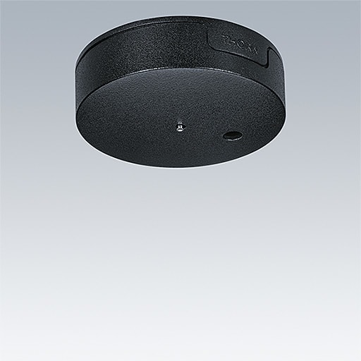 ZG LIGHTING - THORN CEILING ROSE BK BK