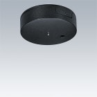 ZG LIGHTING - THORN CEILING ROSE BK BK