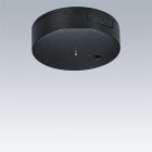 ZG LIGHTING - THORN CEILING ROSE BK BK