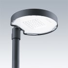 ZG LIGHTING - CT S 24L50-730 NR CL2 T60F ANT