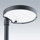 ZG LIGHTING - CT L 48L50-730 NR CL2 T60F ANT