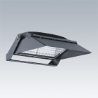 ZG LIGHTING - CHAMPION 264L-740 V2 BSC ANT