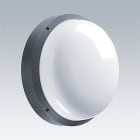 ZG LIGHTING - EYE BE LED700-840 MWS S ANT