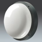 ZG LIGHTING - EYE BE LED1150-840 HF L ANT