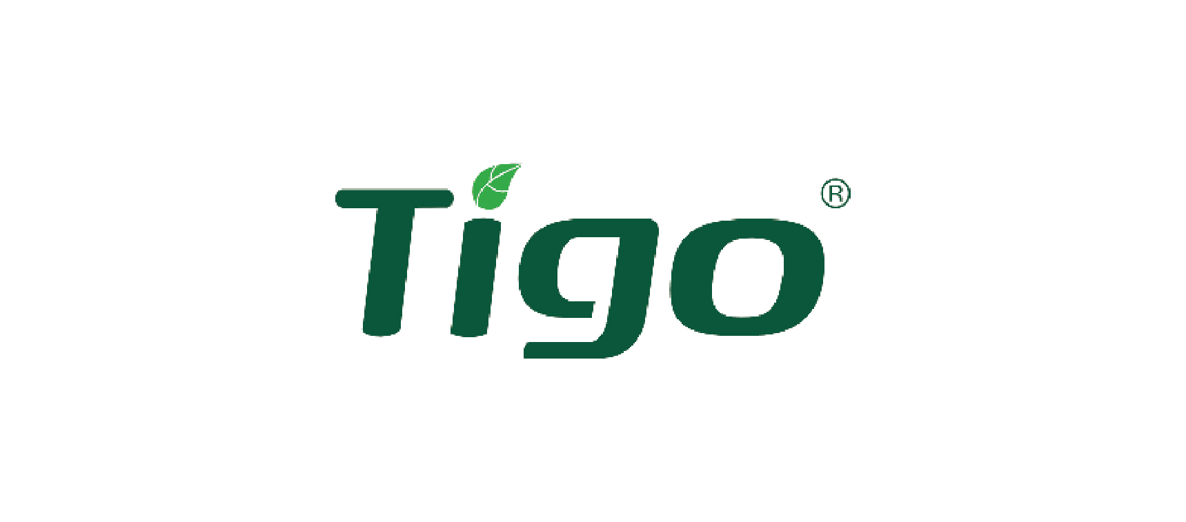 tigo
